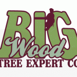 Big Wood Tree Expert