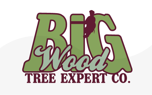 Big Wood Tree Expert